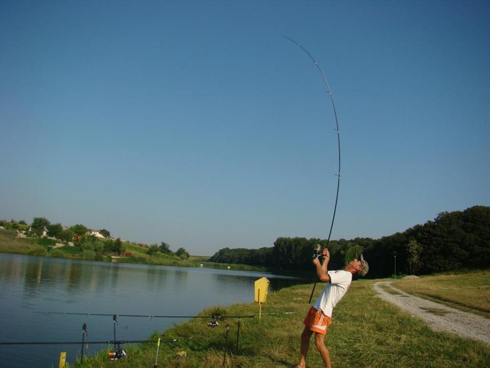 Regulament 2012 - Moara Vlasiei 2